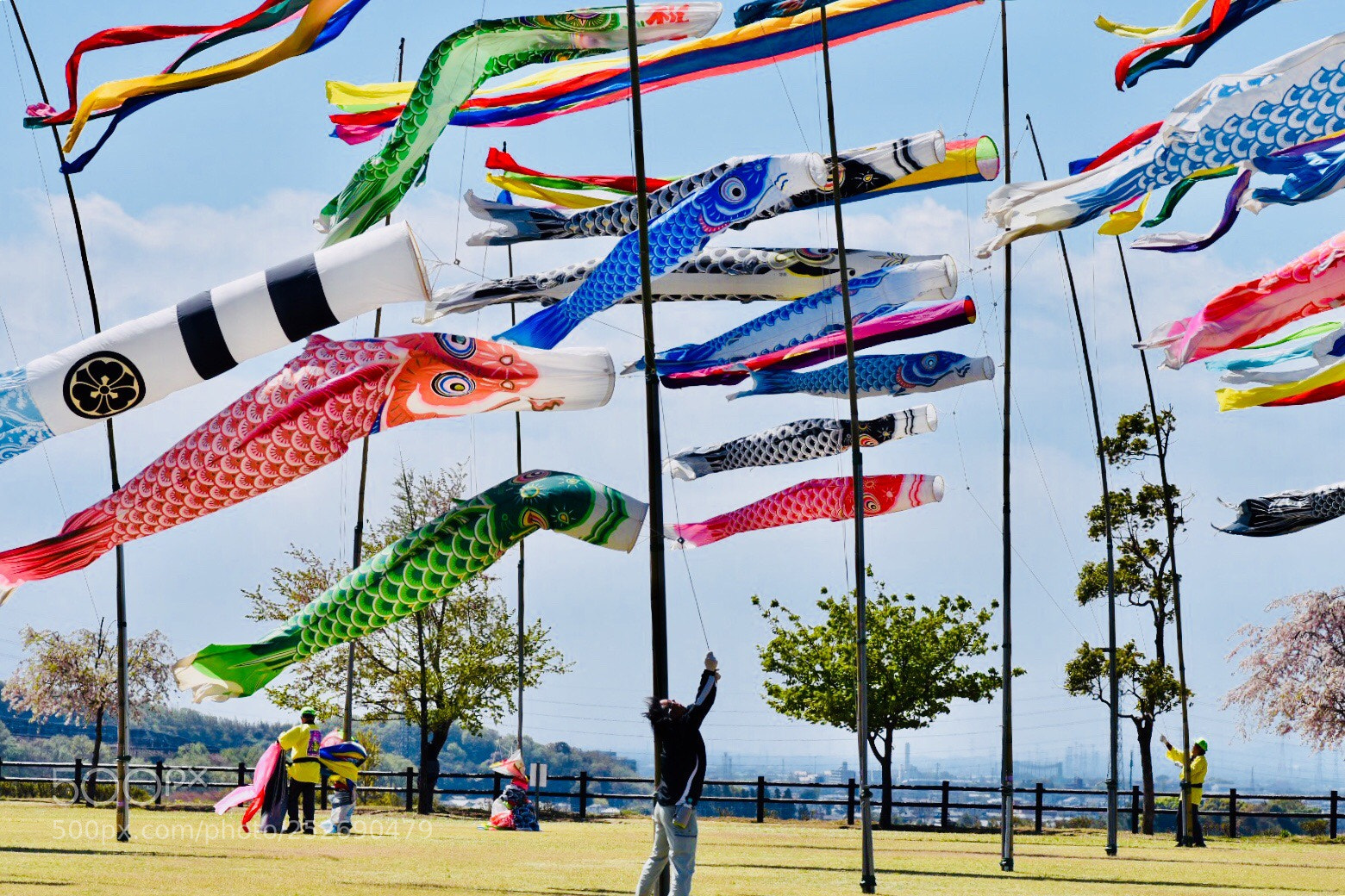 Nikon D7200 sample photo. Koinobori photography
