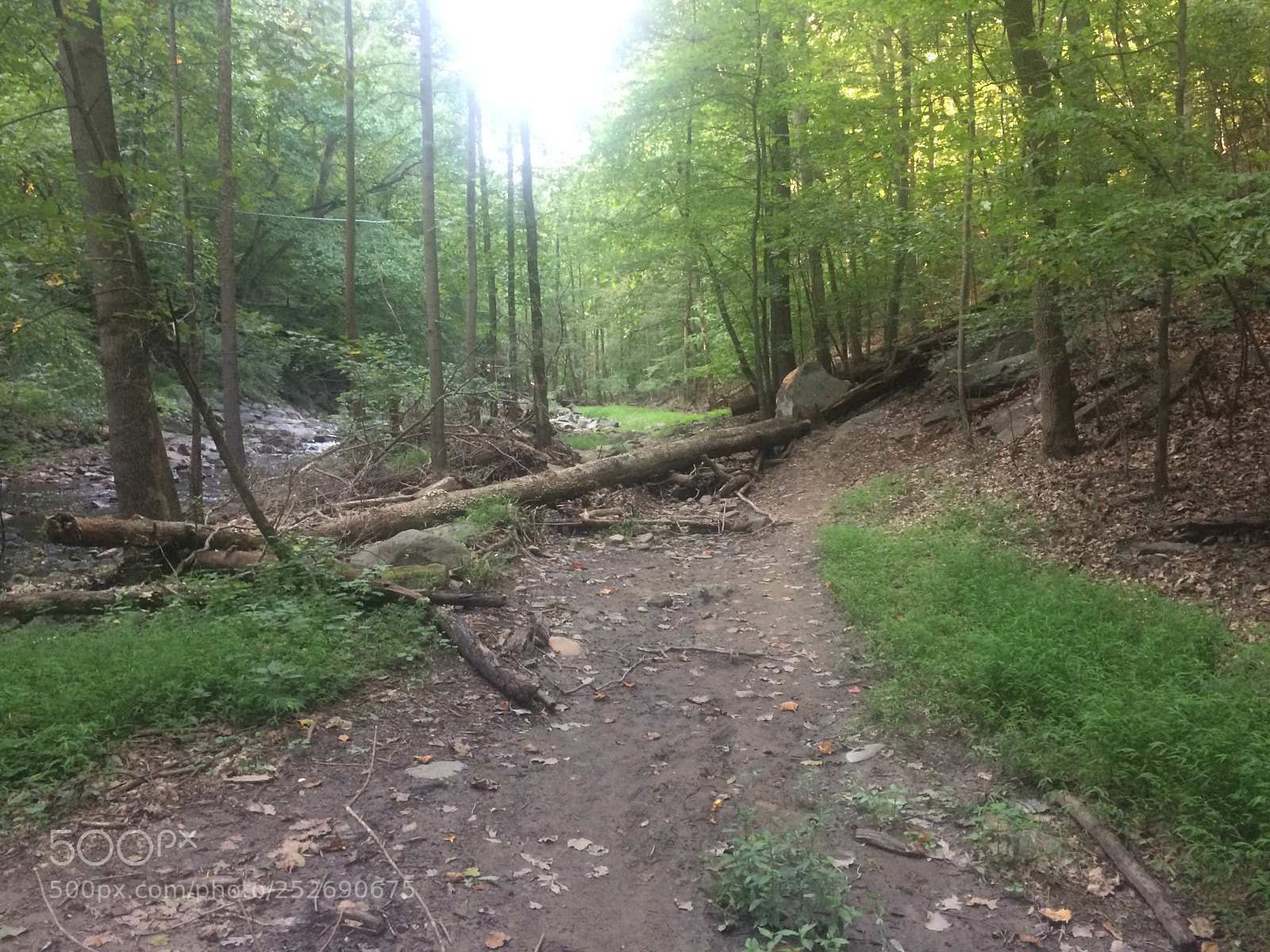 Apple iPhone 5s sample photo. End of northwest branch photography