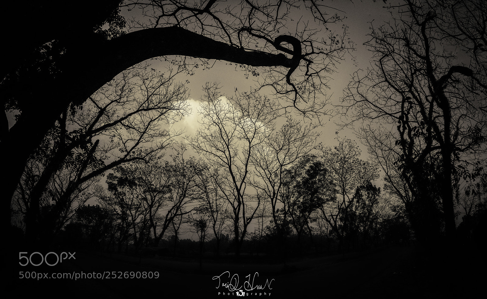 Nikon D7200 sample photo. Obscure photography