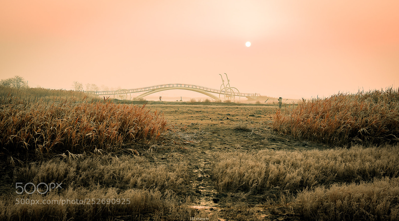 Nikon D810 sample photo. Photographers photography