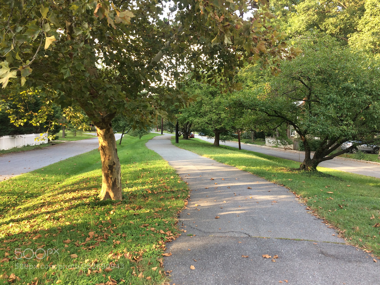 Apple iPhone 5s sample photo. College park trolly trail photography
