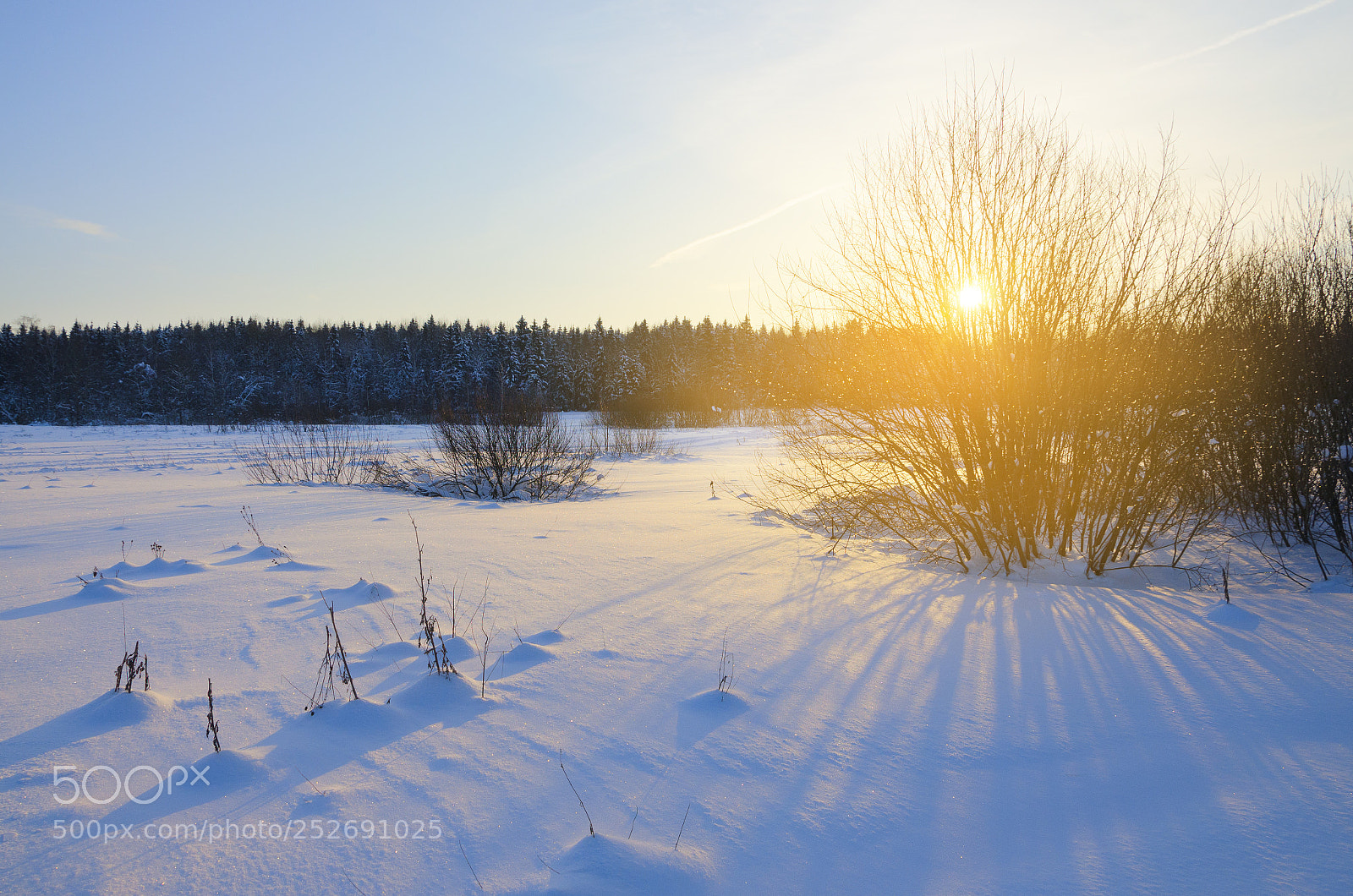 Nikon D5100 sample photo. Frosty morning photography