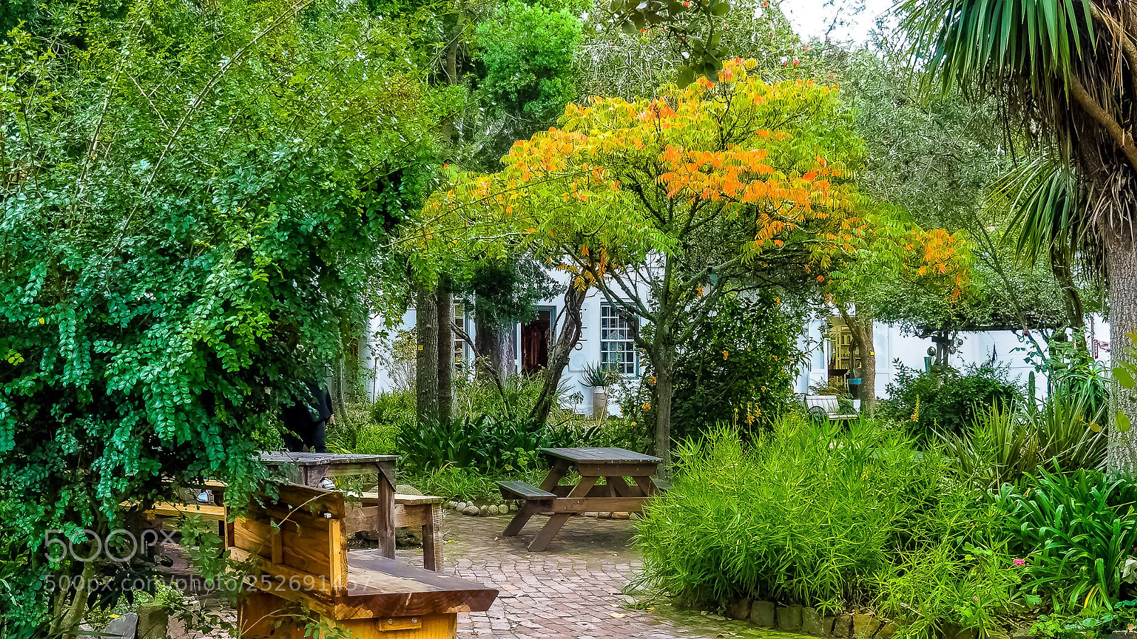 Olympus OM-D E-M5 II sample photo. A place of rest photography