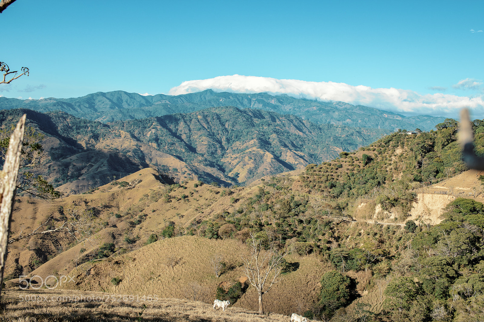 Canon EOS 750D (EOS Rebel T6i / EOS Kiss X8i) sample photo. Mountains of acosta photography