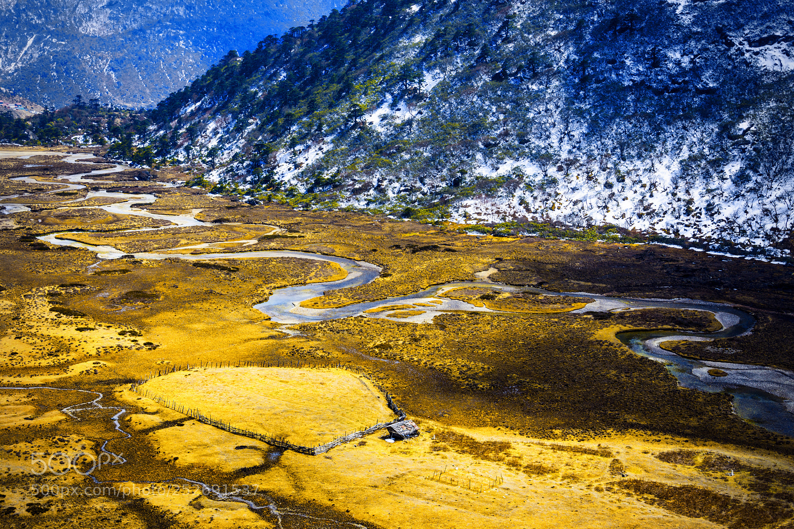 Nikon D7200 sample photo. Chopta valley sikkim photography