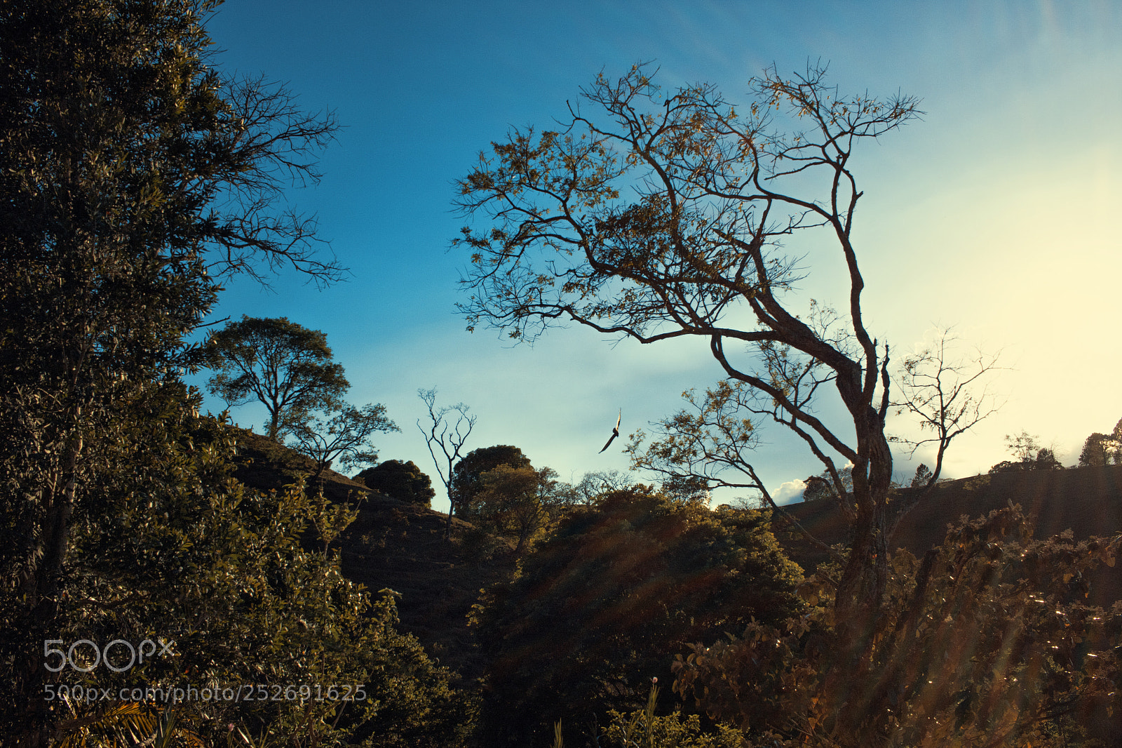Canon EOS 750D (EOS Rebel T6i / EOS Kiss X8i) sample photo. Sunset in the mountains photography