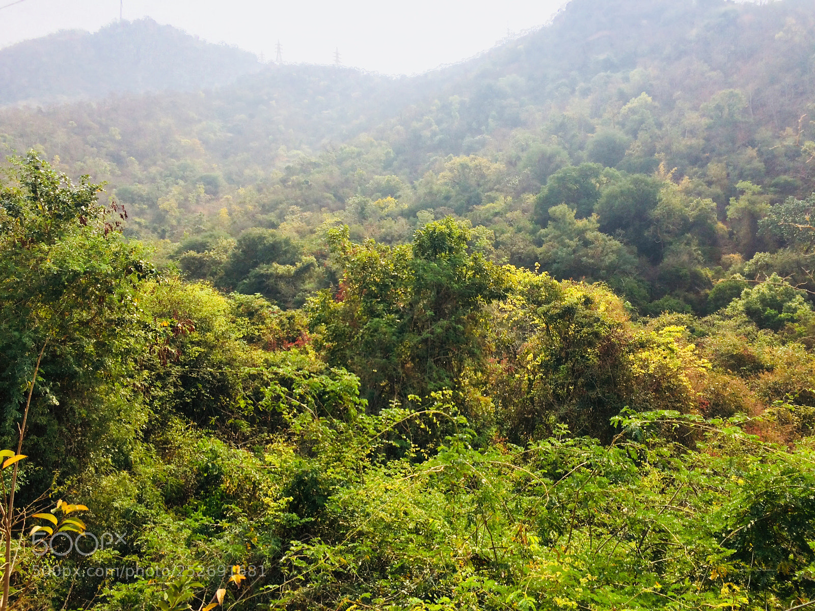 Apple iPhone 5s sample photo. Tirumala photography