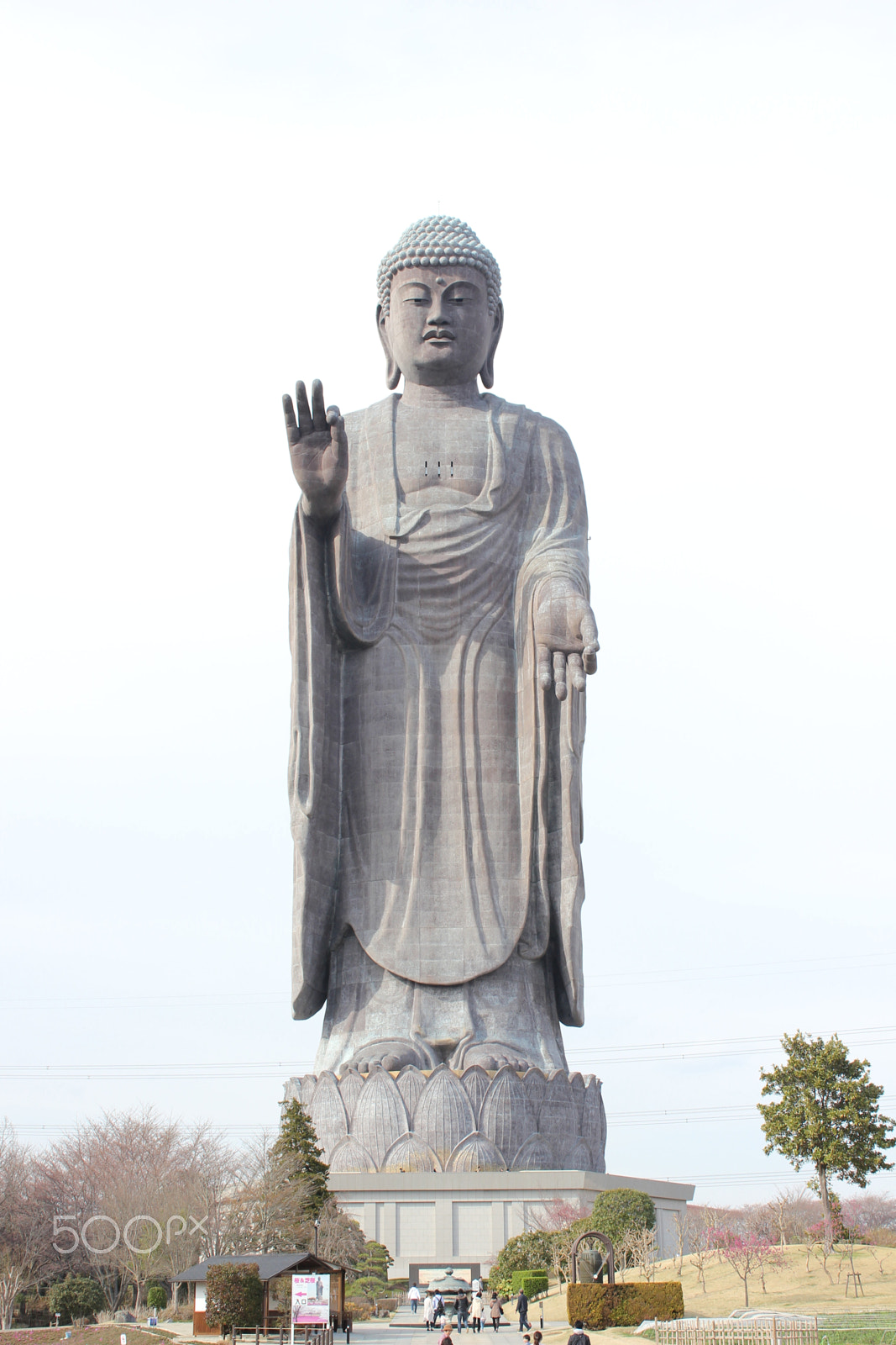 Canon EOS 550D (EOS Rebel T2i / EOS Kiss X4) sample photo. Ushiku daibutsu photography