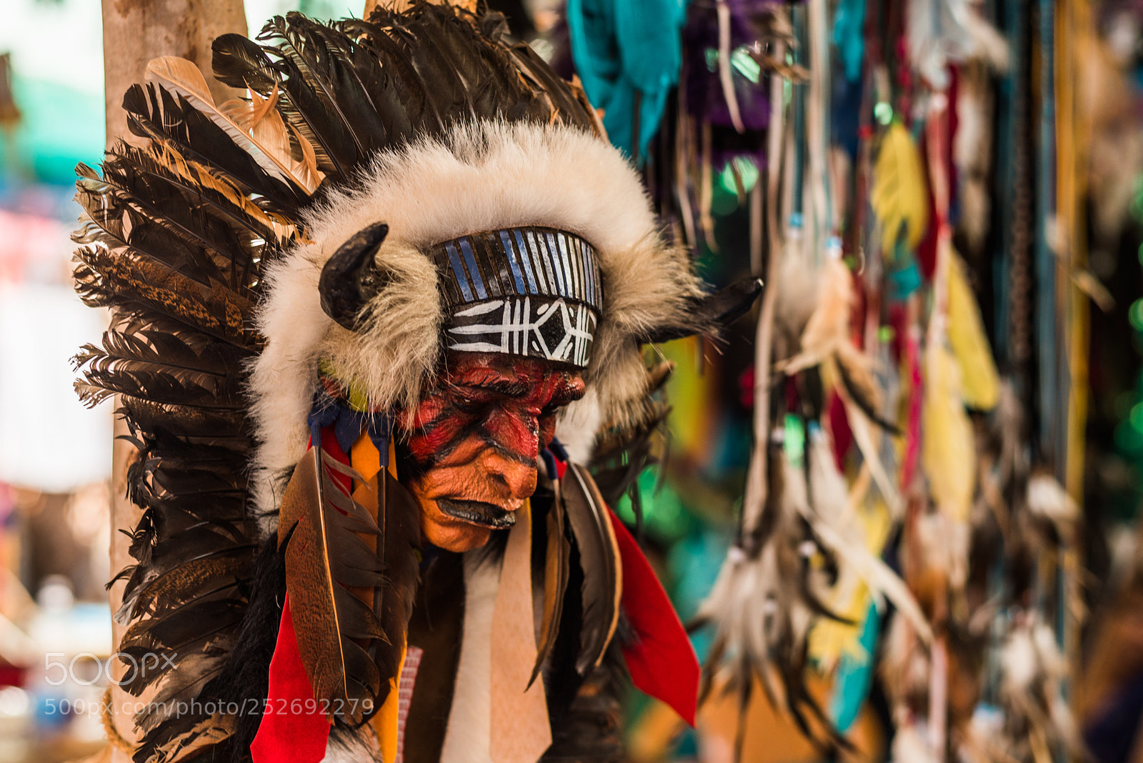 Nikon D750 sample photo. Red indian chief head photography