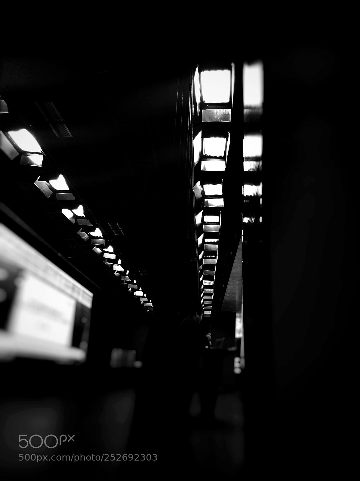 Xiaomi MI6 sample photo. Untitle photography