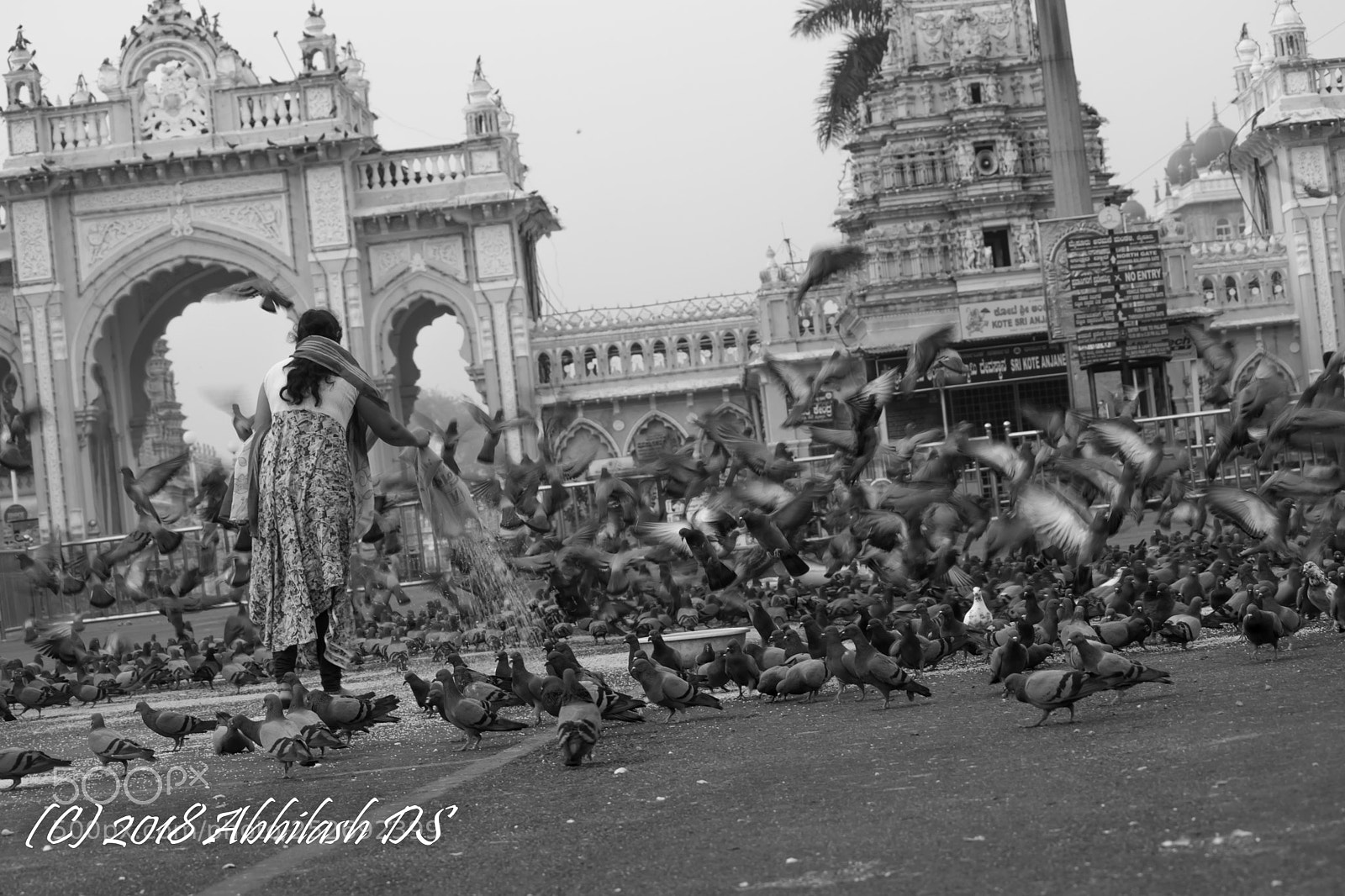 Nikon D5300 sample photo. Untitled photography