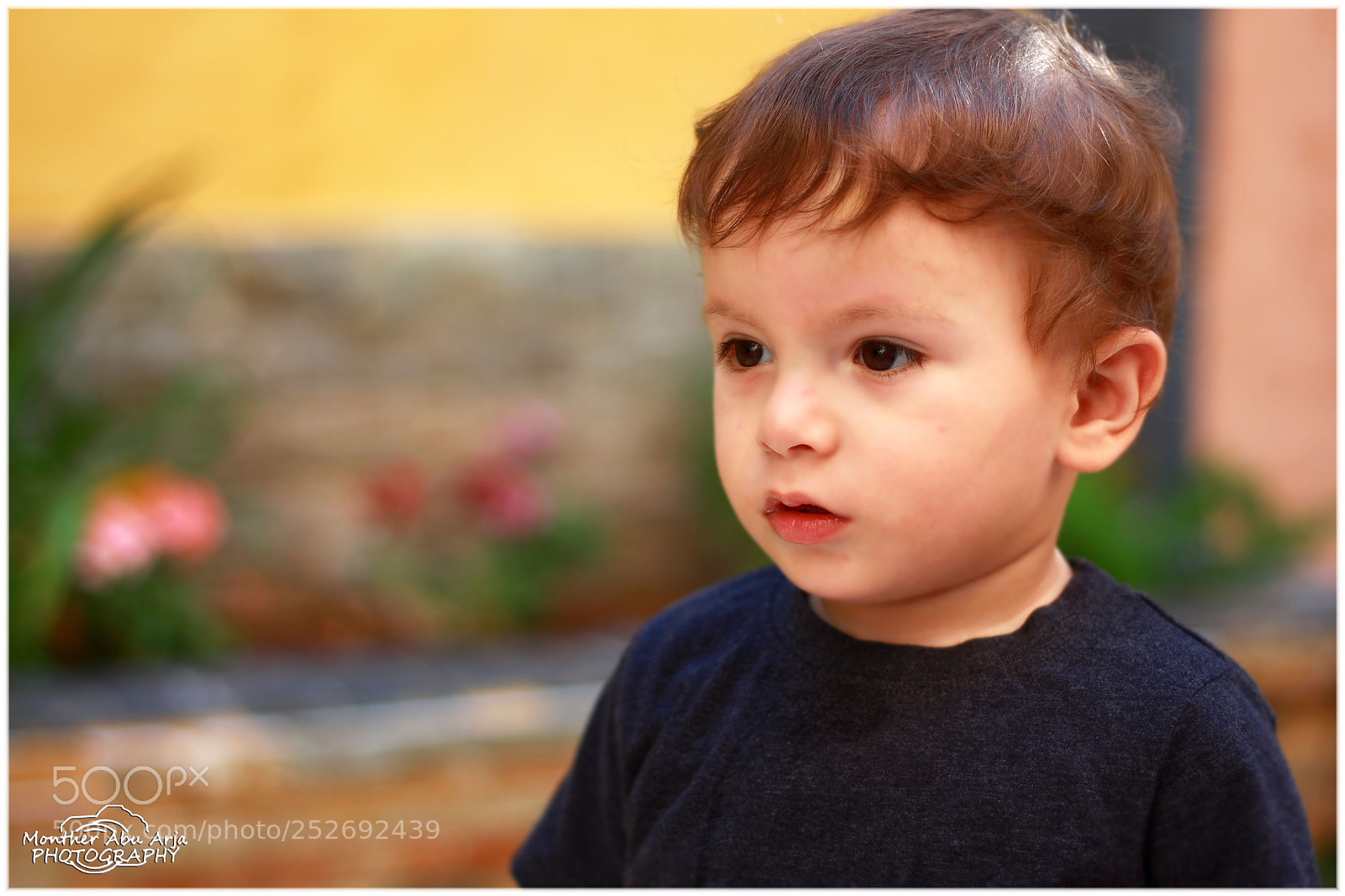 Canon EOS 60D sample photo. Aws photography