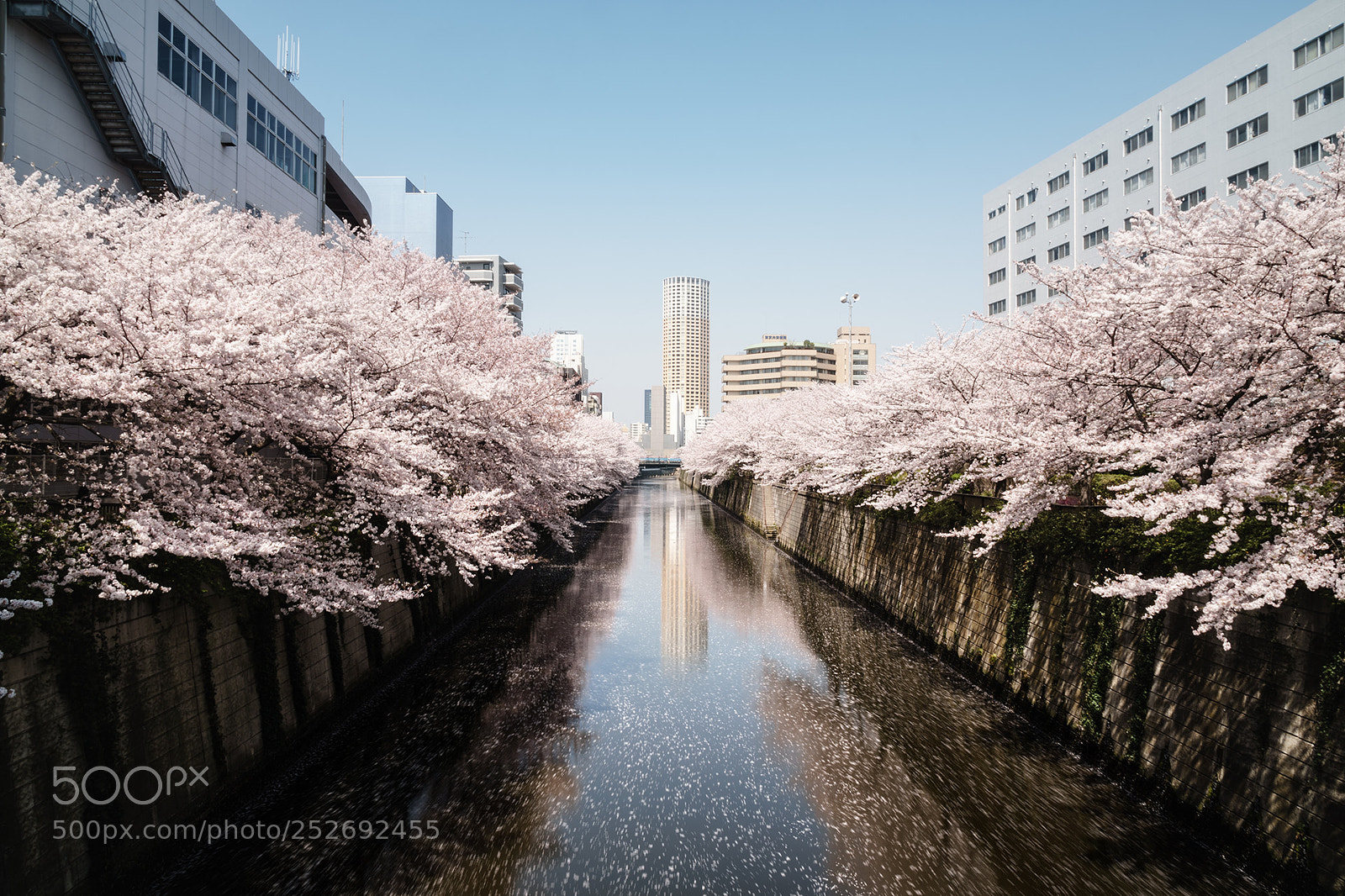 Sony a6500 sample photo. _dsc0922 photography