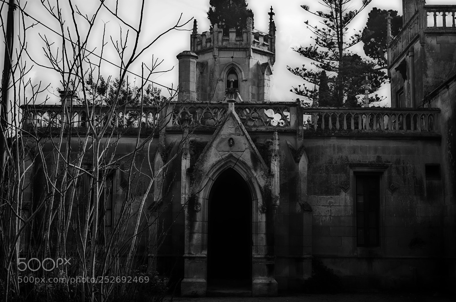 Nikon D3300 sample photo. A gothic abandoned building photography