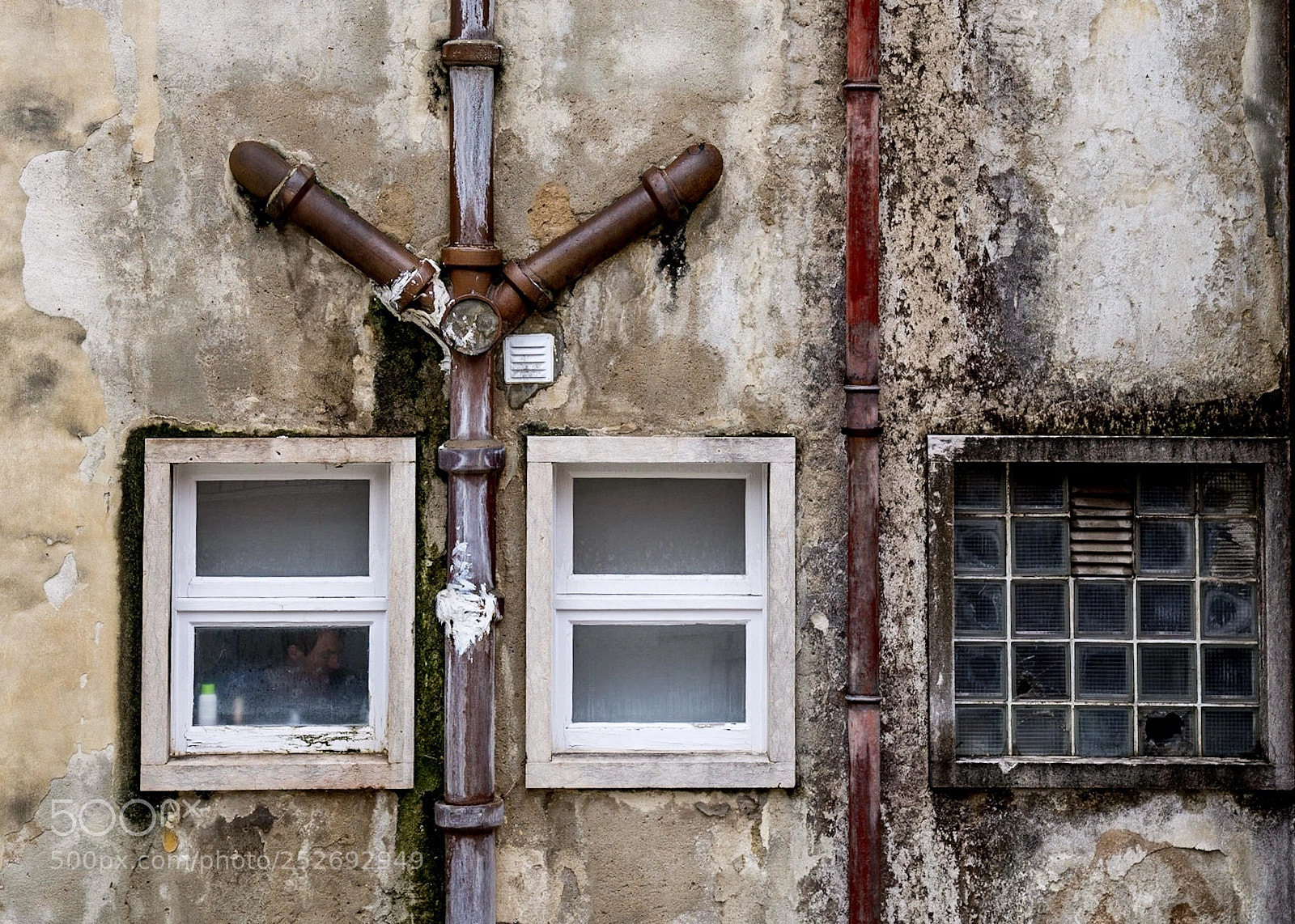Sony a7R III sample photo. Derri re la fen photography