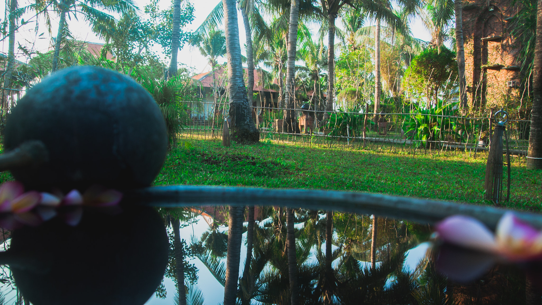 Olympus PEN E-P1 sample photo. Reflections in the water of life photography