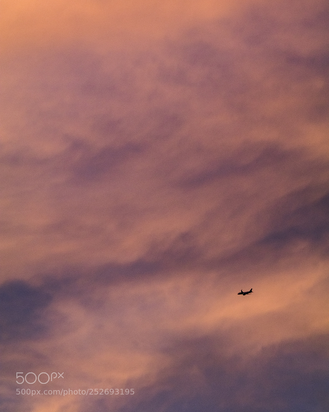 Canon EOS 80D sample photo. Dreams of icarus photography