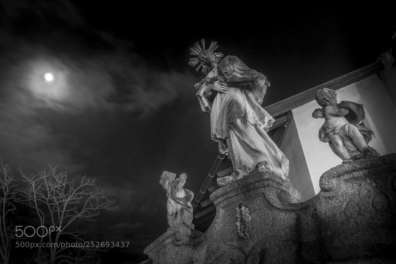 Canon EOS 40D sample photo. Statue in the night photography