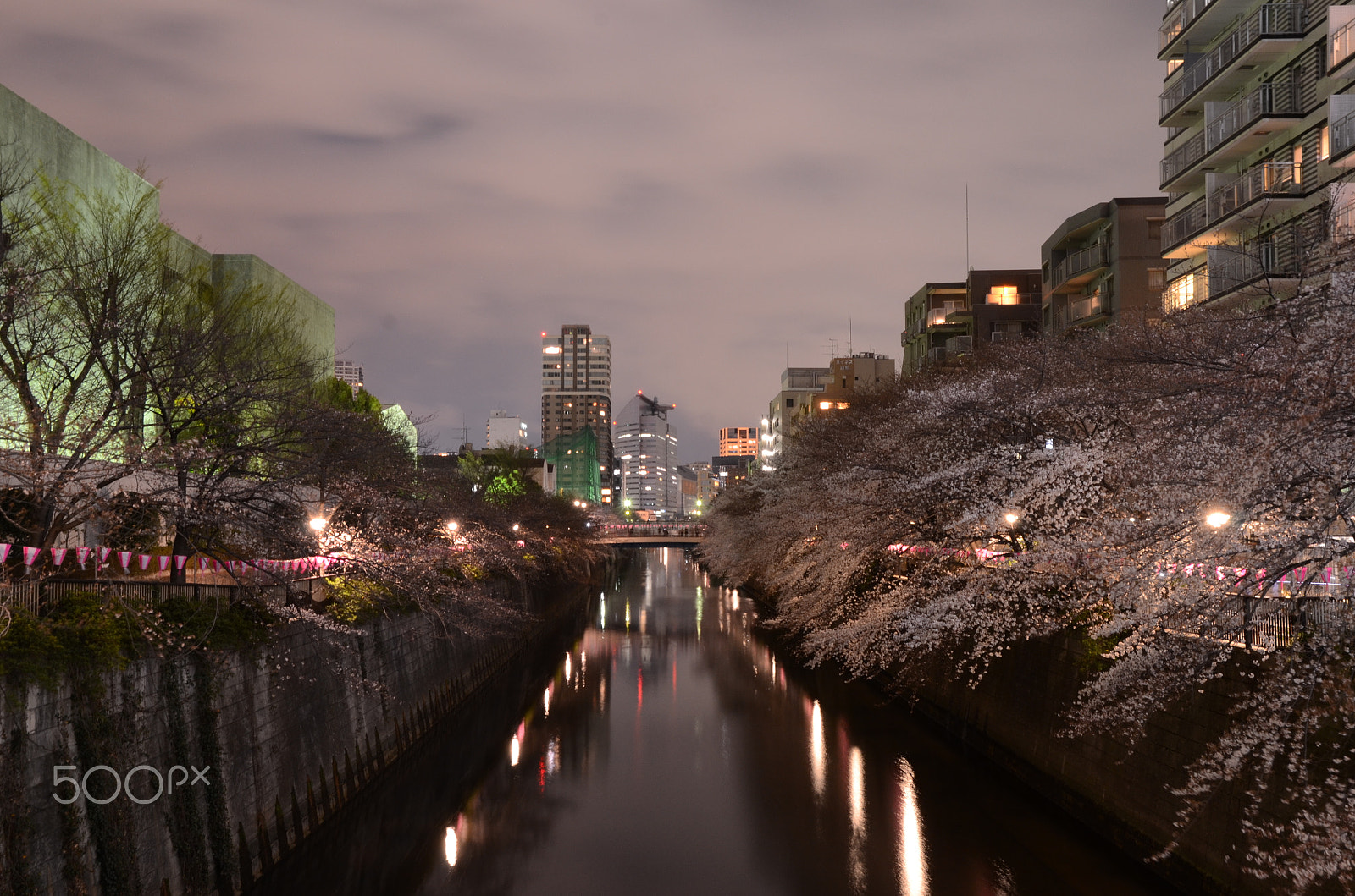 Nikon D7000 sample photo. Sakura by night photography