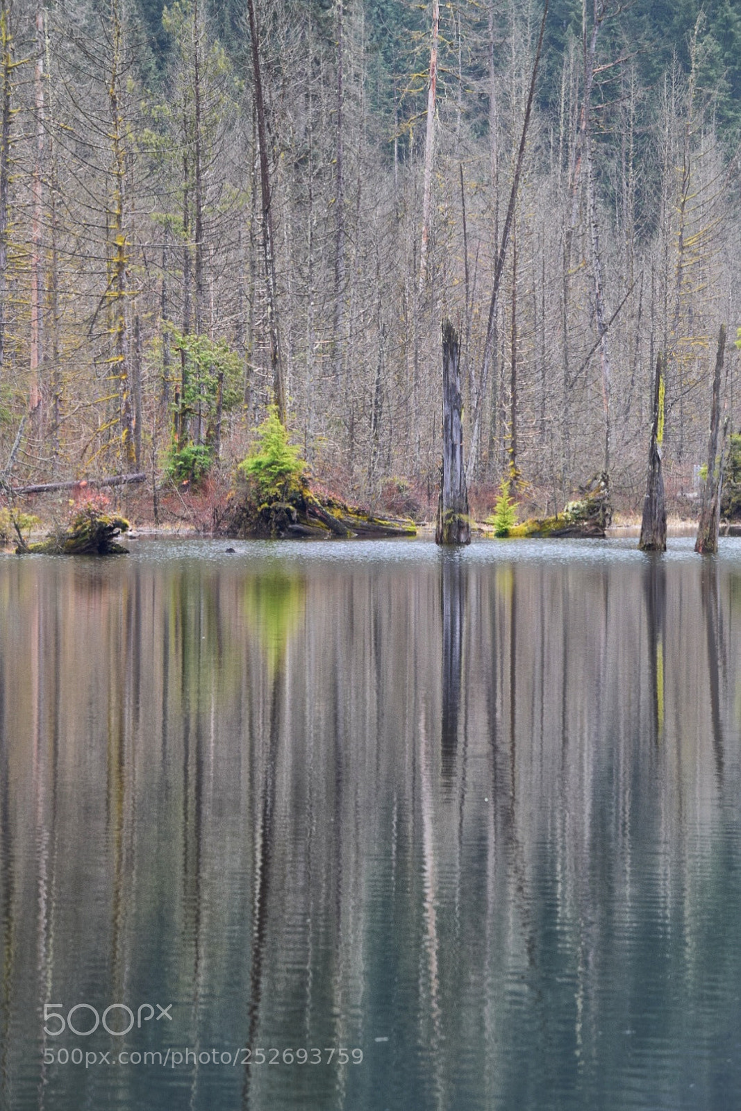 Nikon D5300 sample photo. Water reflections photography