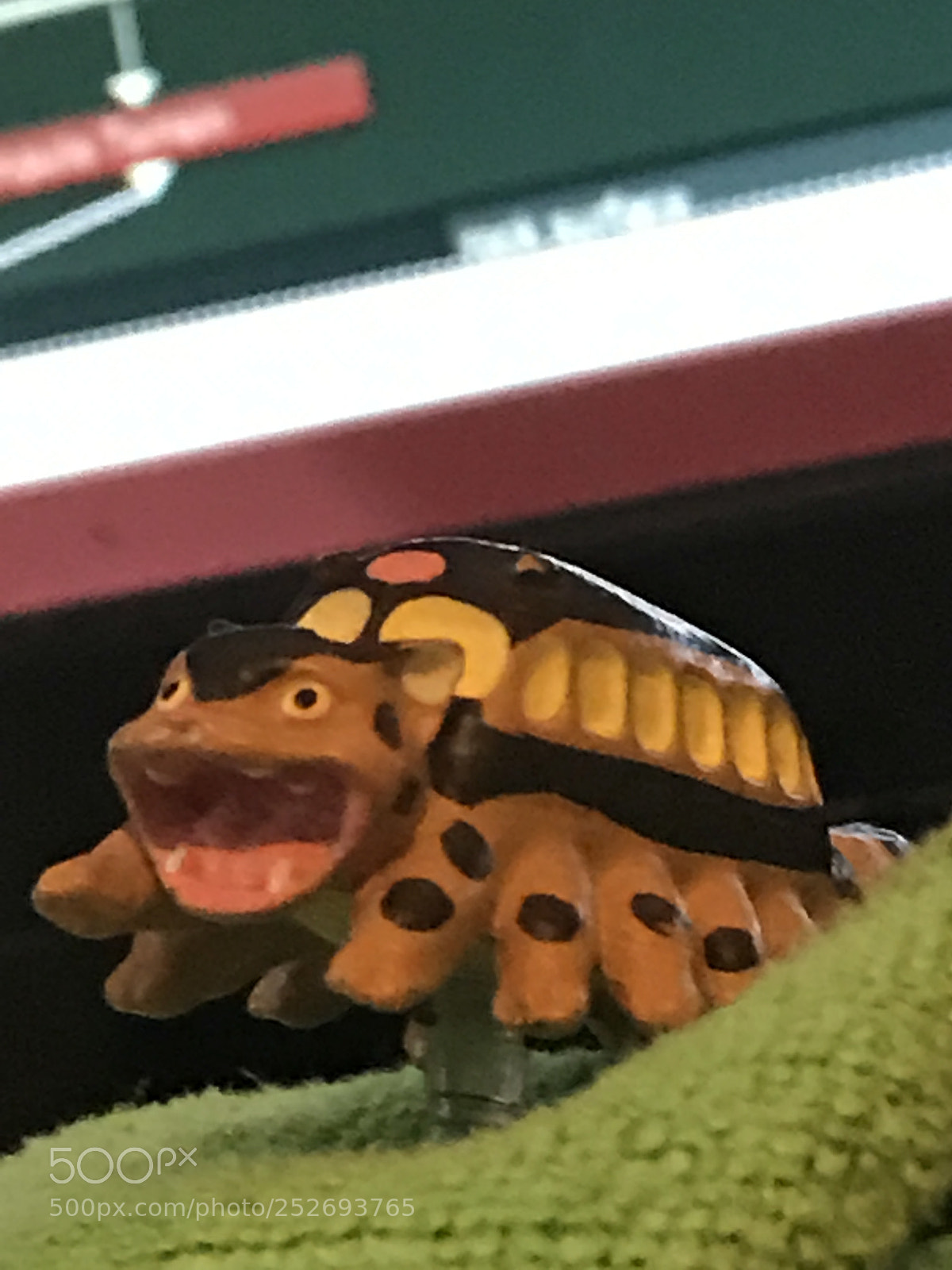 Apple iPhone 7 sample photo. Presenting catbus photography