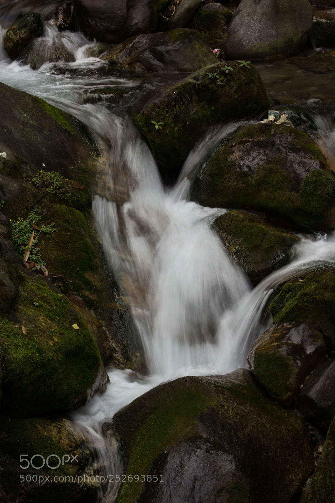 Canon EOS 1200D (EOS Rebel T5 / EOS Kiss X70 / EOS Hi) sample photo. Wild and free photography