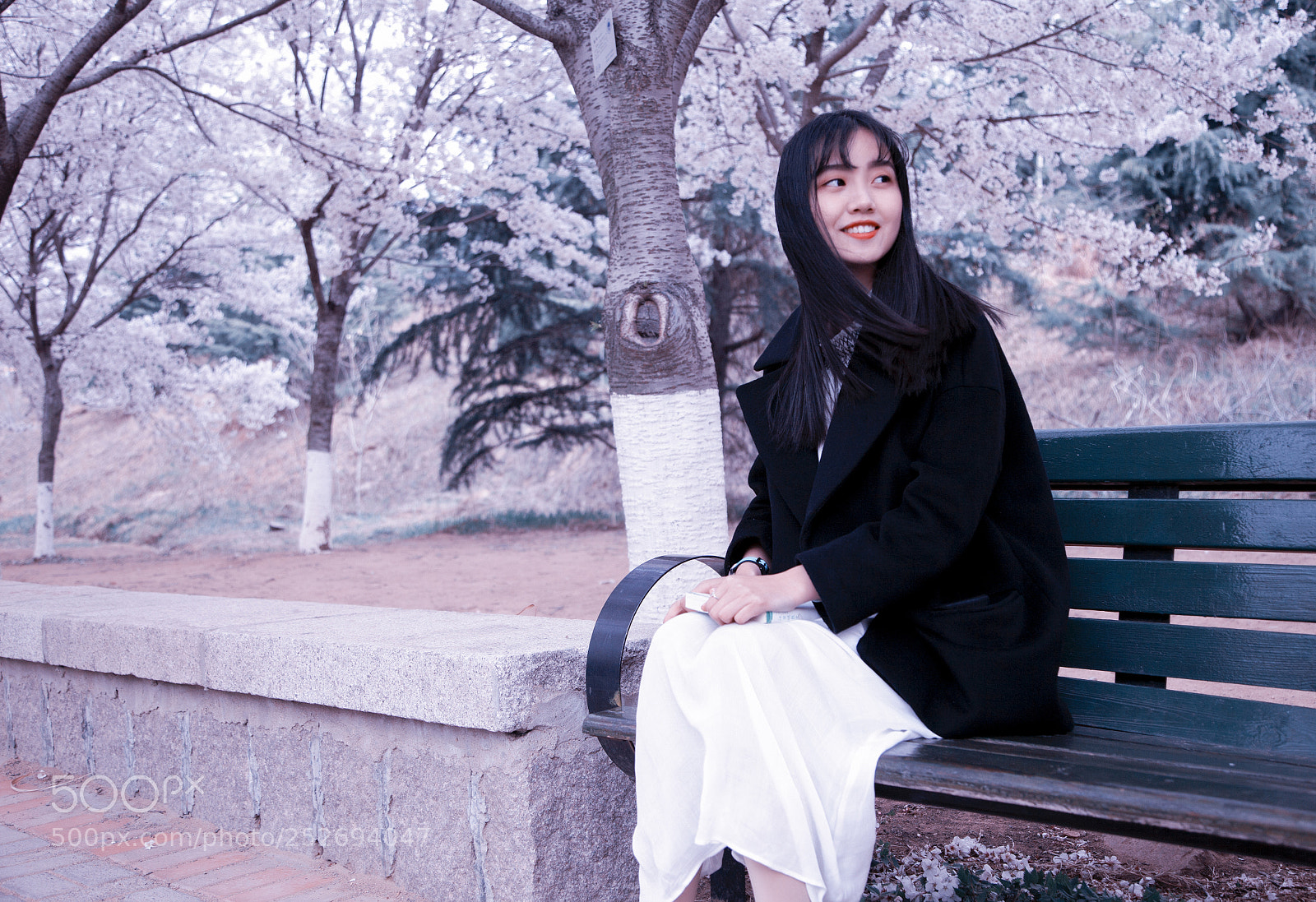Canon EOS 5D Mark II sample photo. Sakura beauty photography