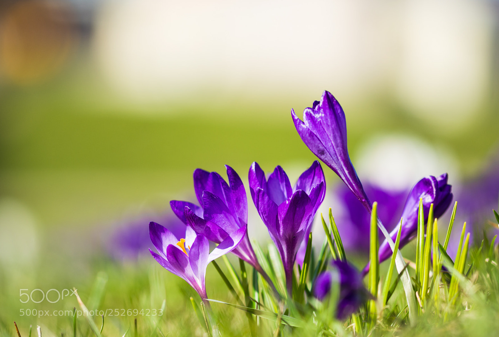 Nikon D5200 sample photo. Nature photography