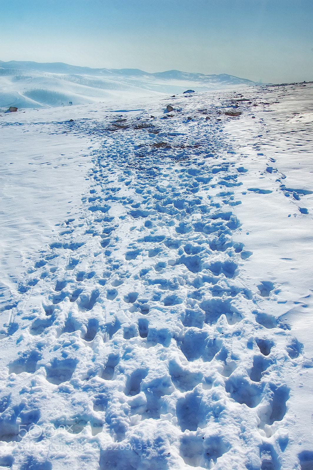 Nikon D40 sample photo. Winter trail photography