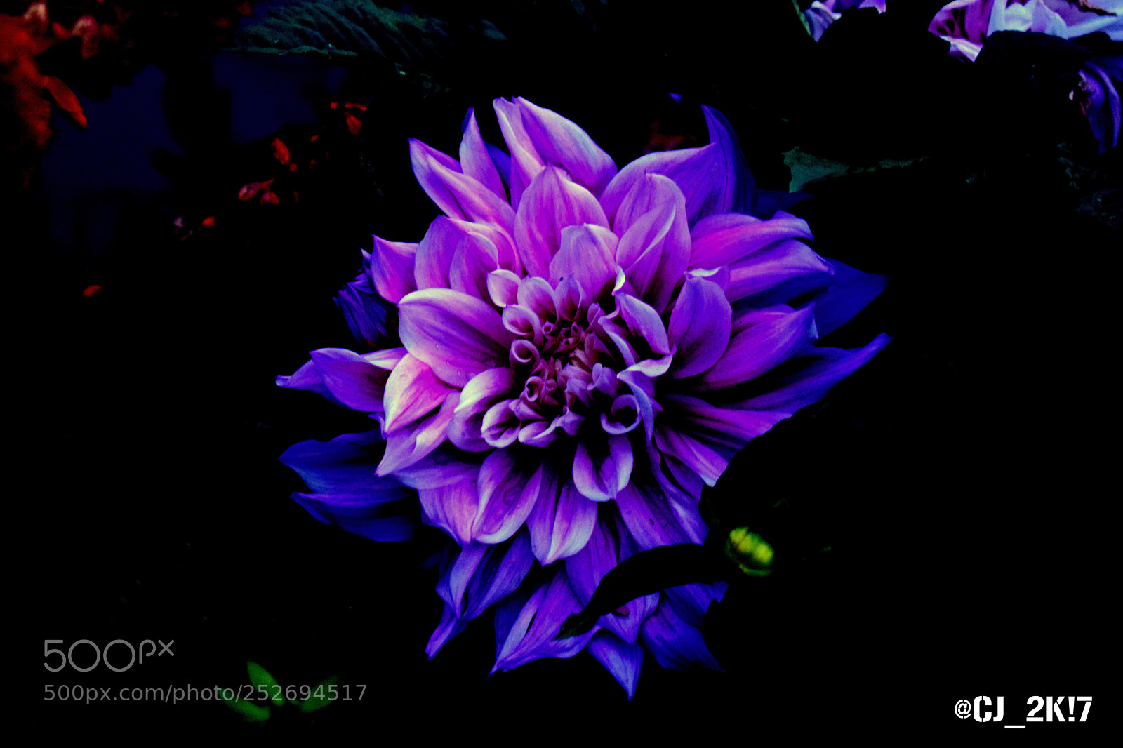 Nikon D5300 sample photo. Untitled photography
