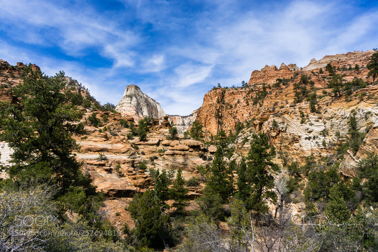 Sony a6000 sample photo. Earths beauty 2 photography