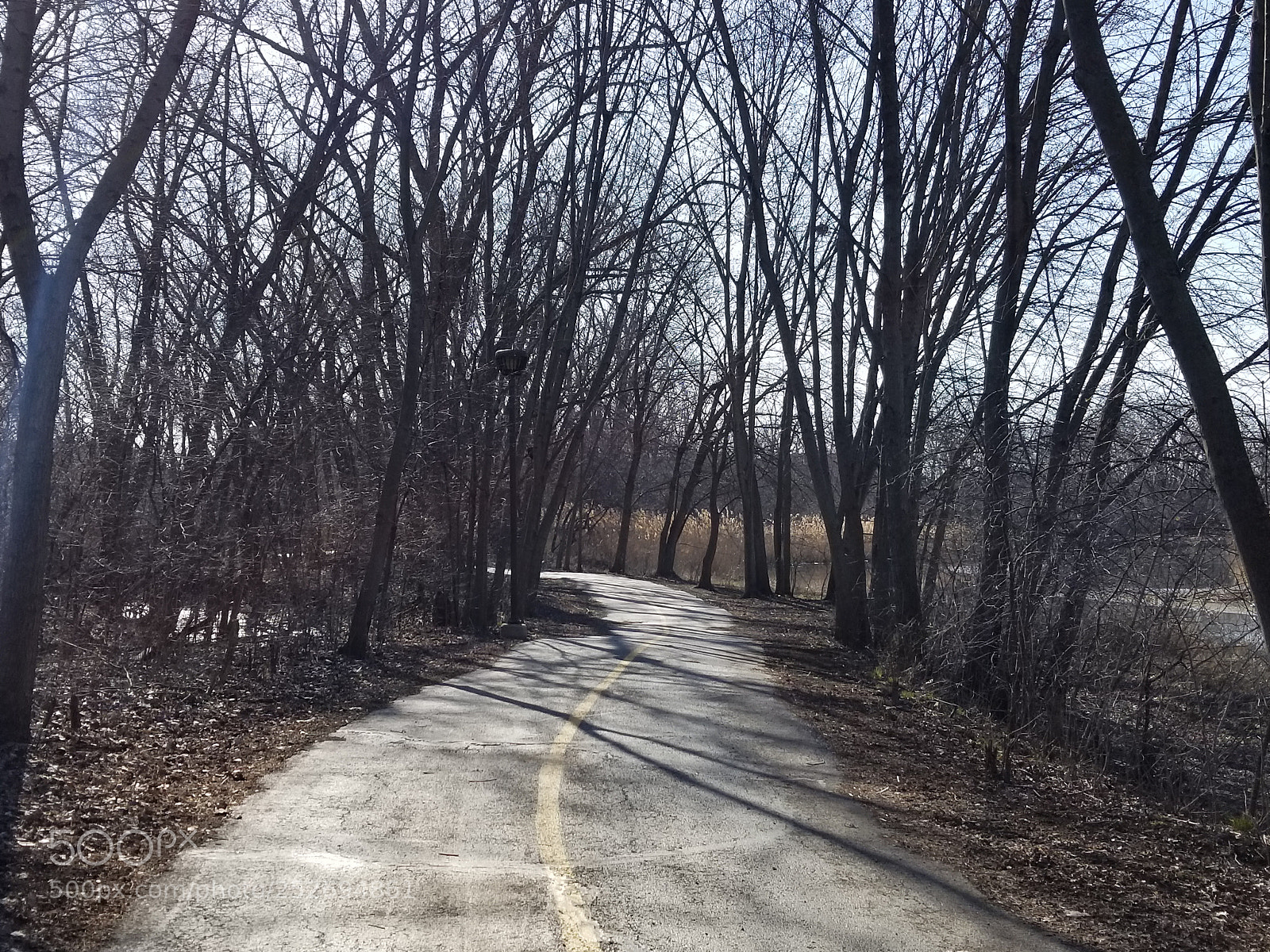Samsung Galaxy S8 sample photo. Untitled photography