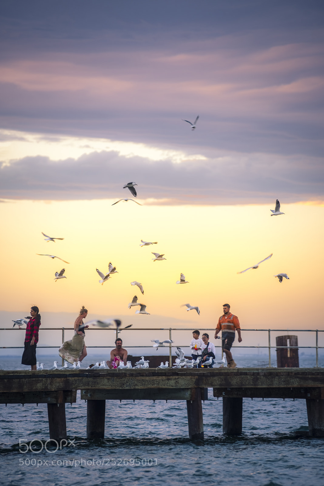 Nikon D810 sample photo. Pier in sunset photography