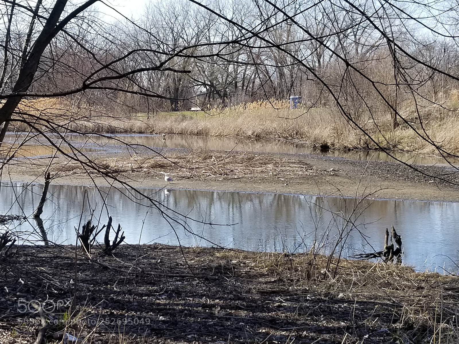 Samsung Galaxy S8 sample photo. Marsh photography