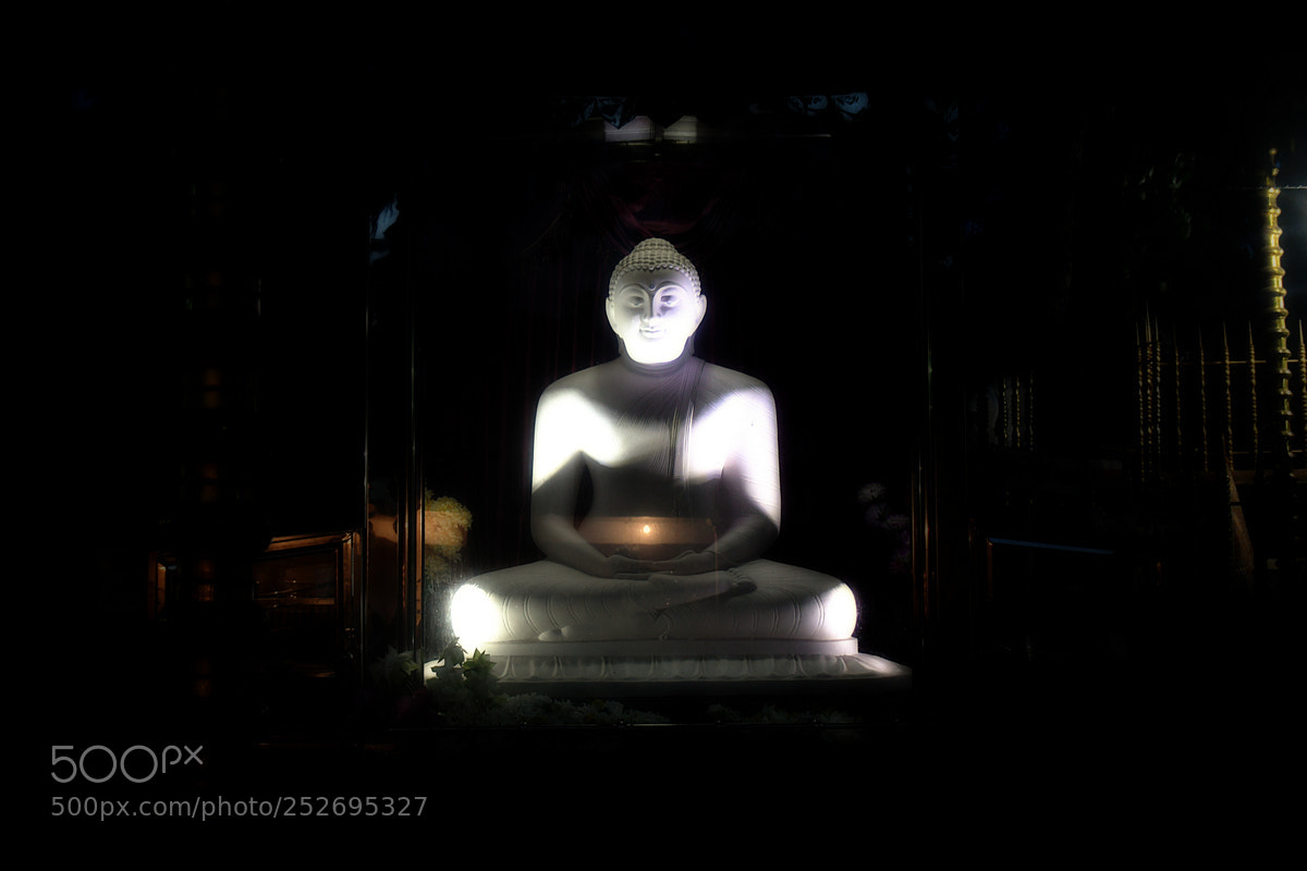 Nikon D500 sample photo. Buddha photography