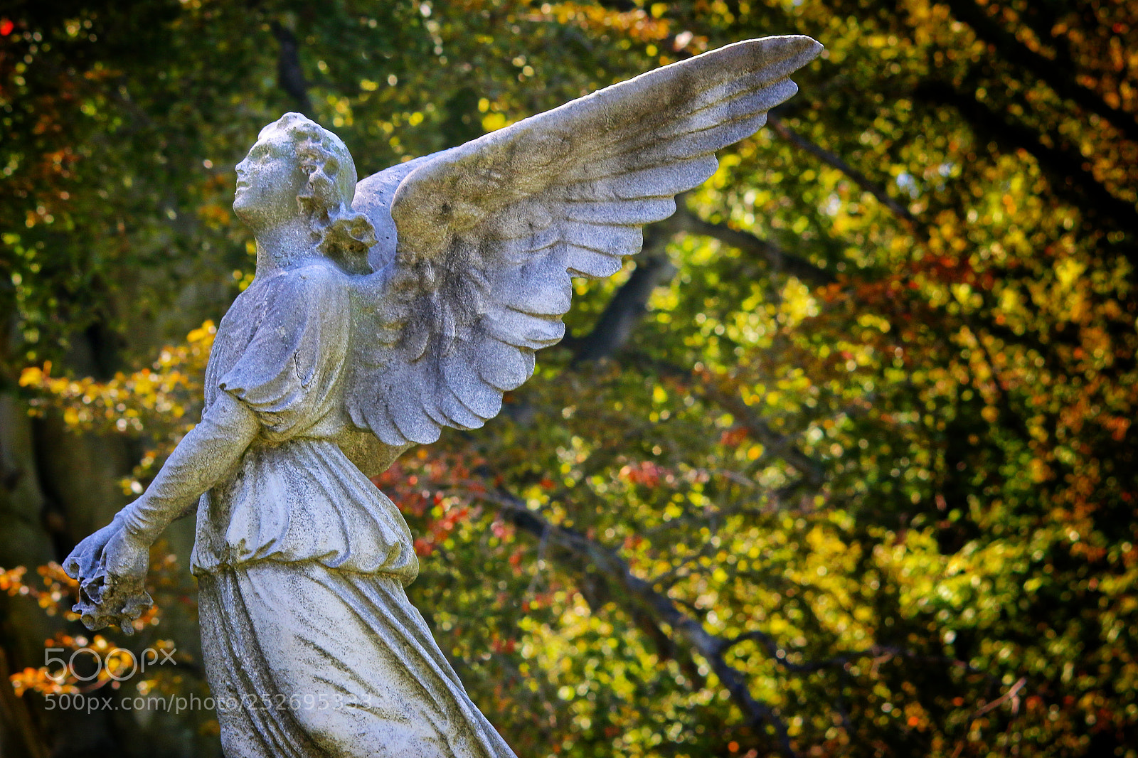 Canon EOS 70D sample photo. Angel in love photography