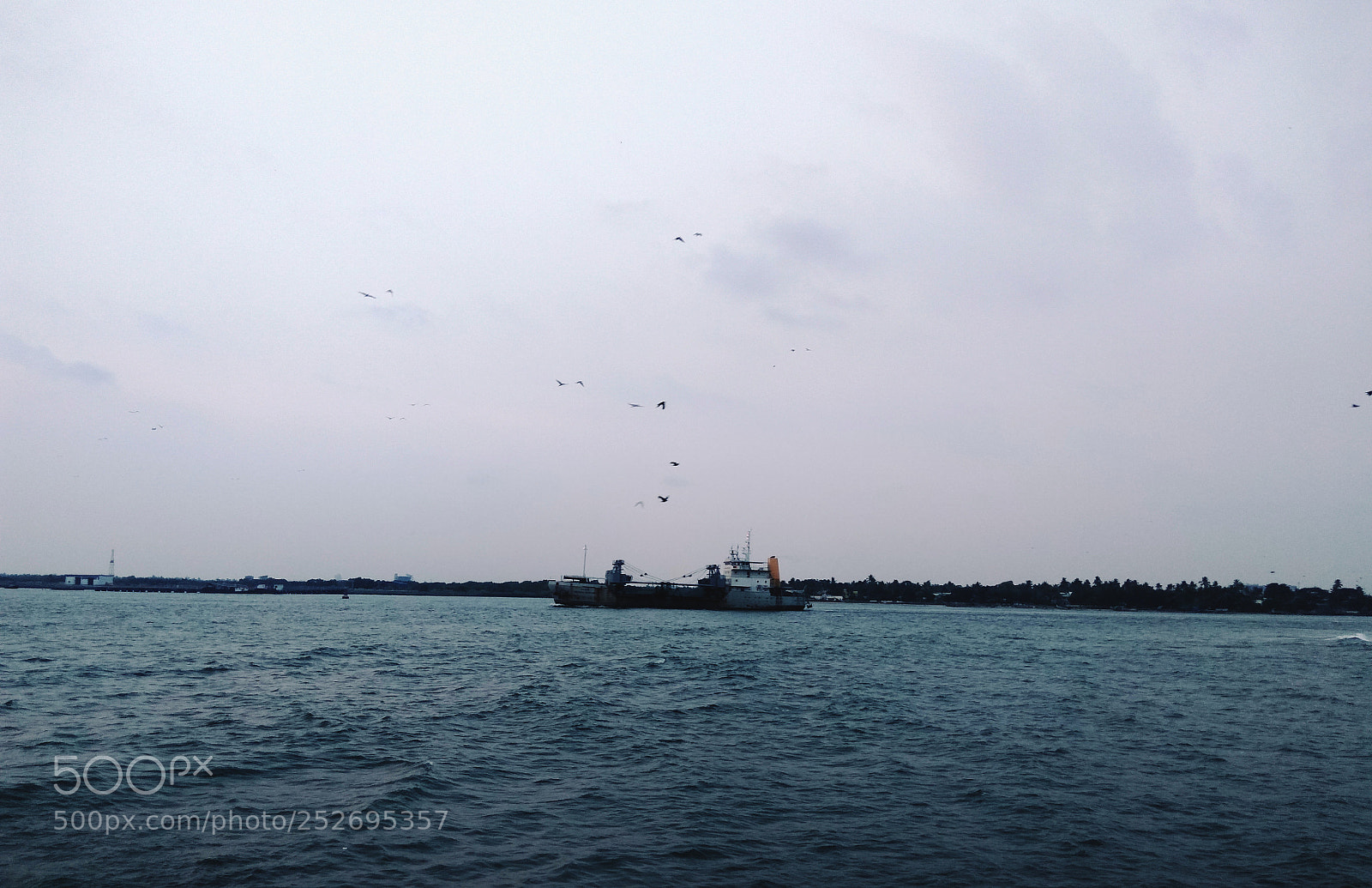 Xiaomi Redmi Note3 sample photo. Beach photography