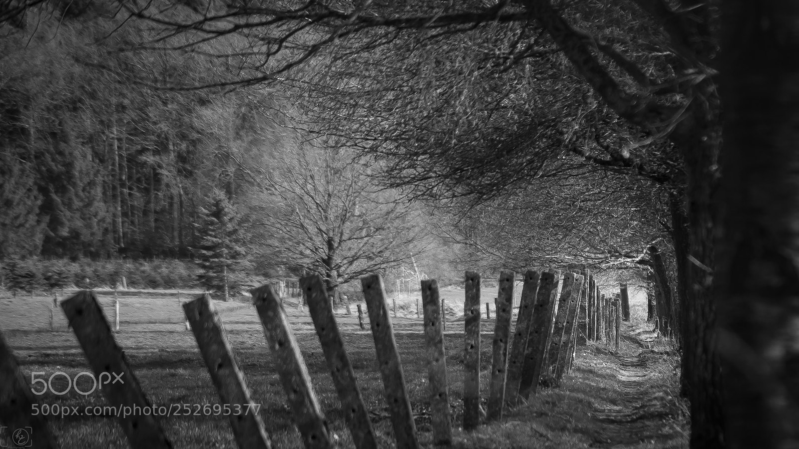 Canon EOS 70D sample photo. Sloping fence (bw) photography