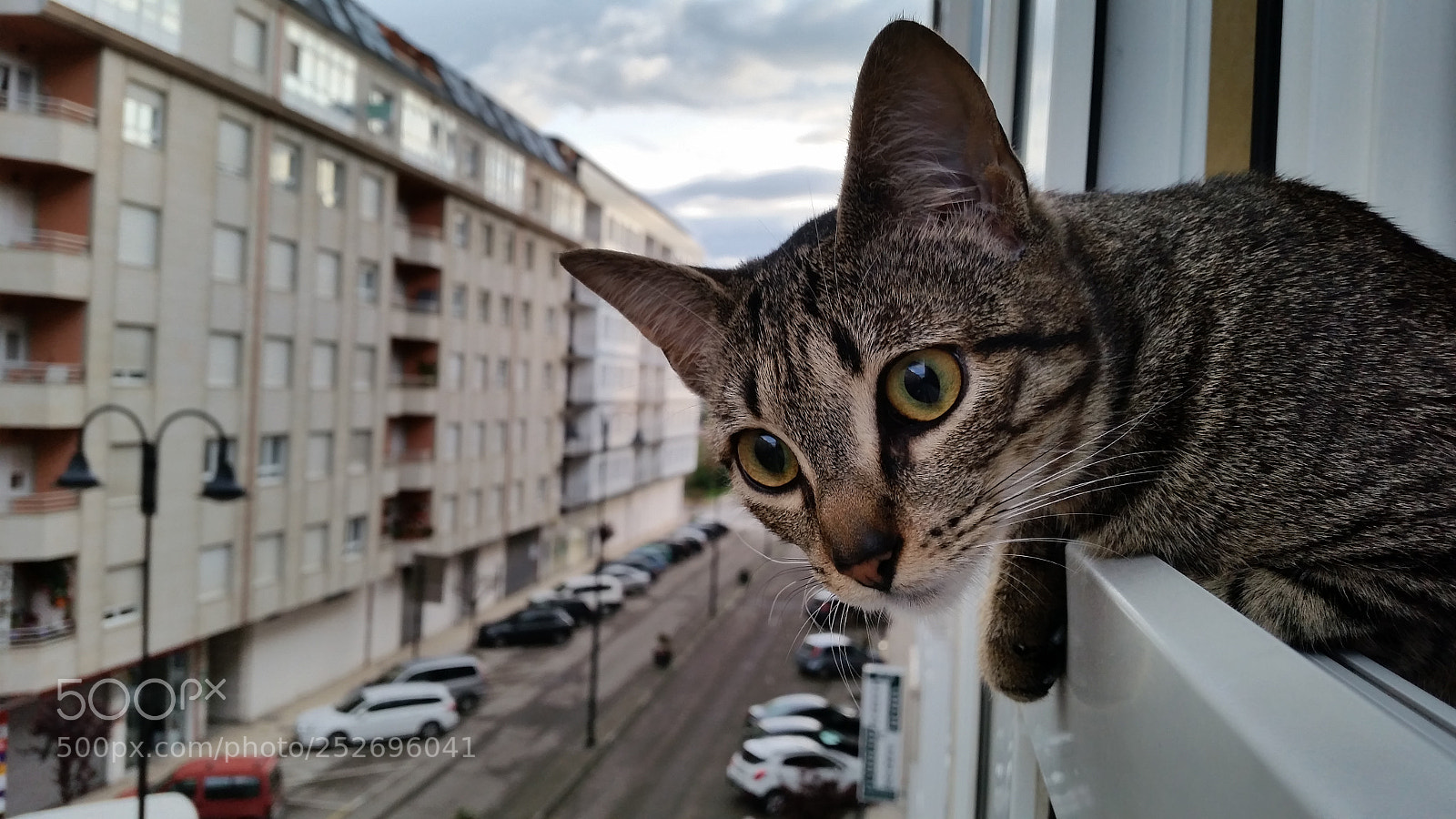 Samsung Galaxy S5 sample photo. Good morning photography