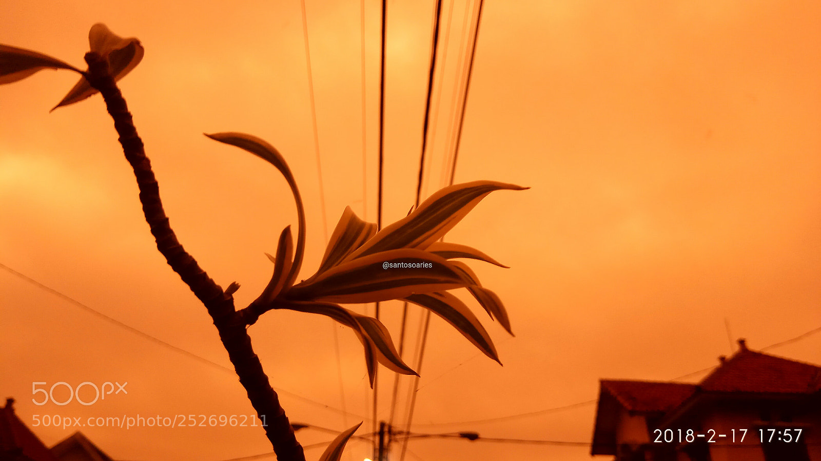 Xiaomi Redmi Note 4X sample photo. Yellow evening photography
