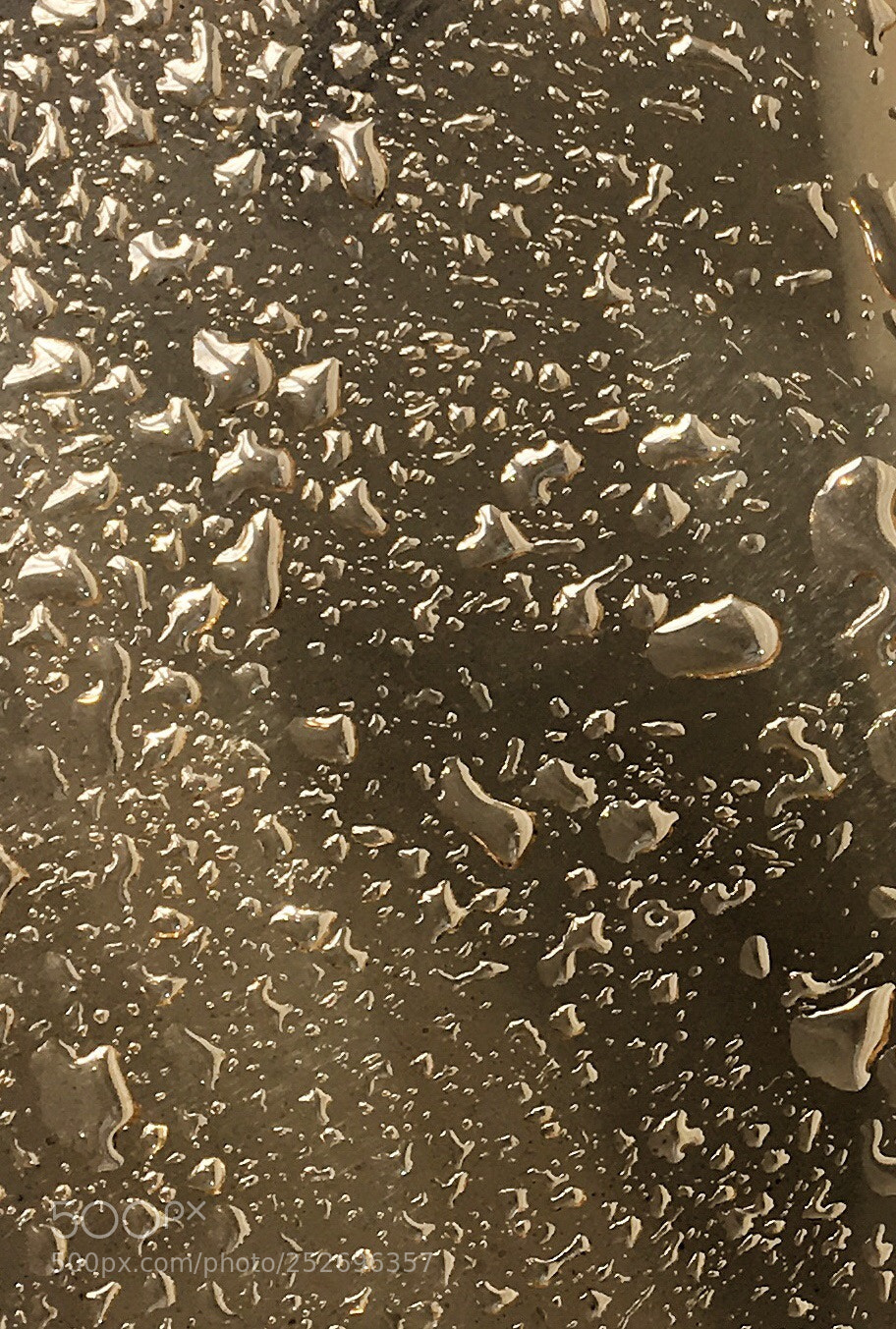 Apple iPhone 6s sample photo. Wet gold photography