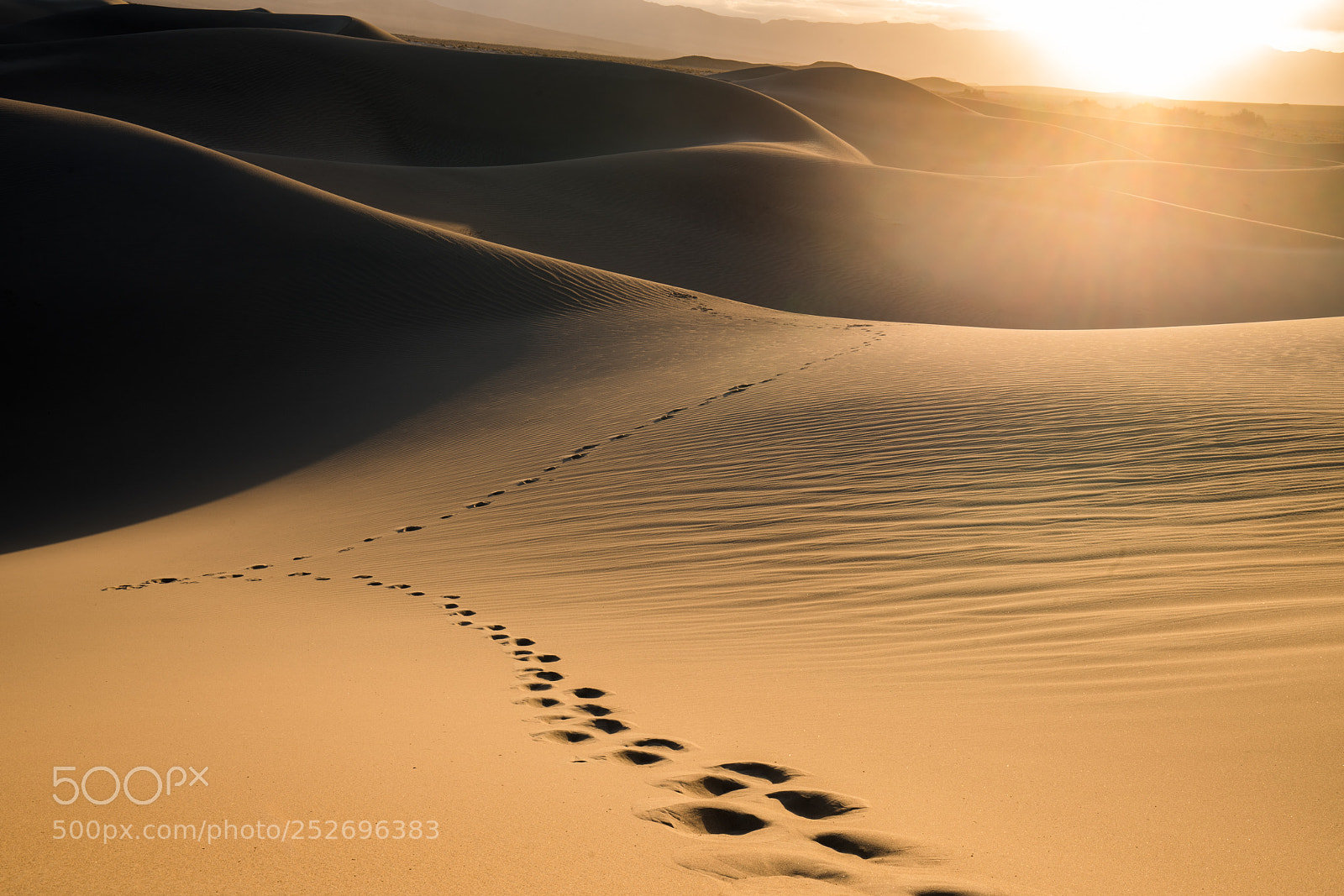 Sony a7R III sample photo. Sunrise in death valley photography
