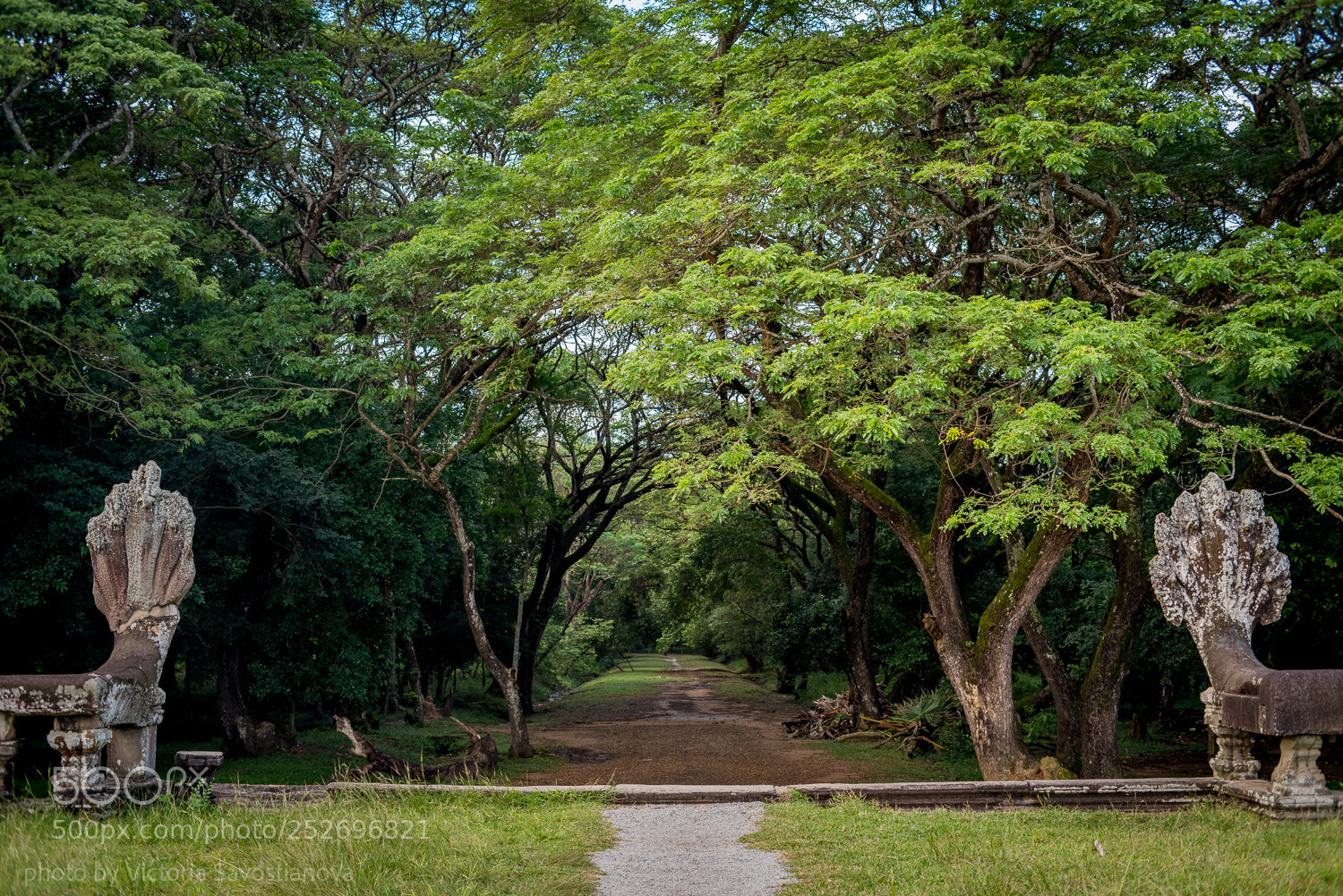 Pentax K-1 sample photo. Amazing angkor wat photography