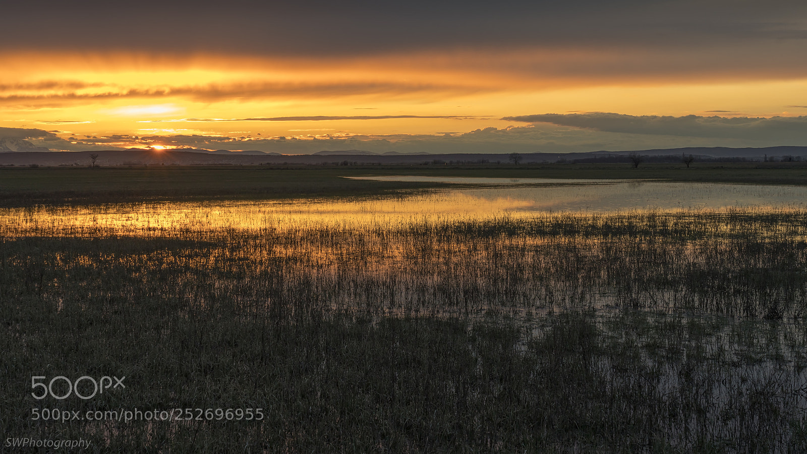 Sony a7R III sample photo. Sunset seewinkel photography