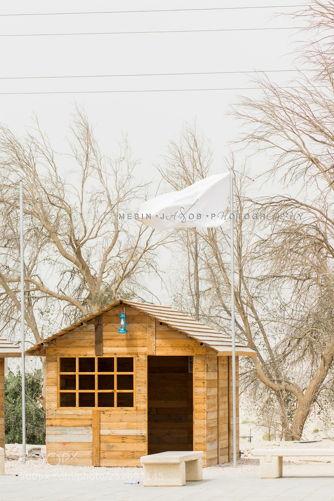 Nikon D5300 sample photo. Log house photography