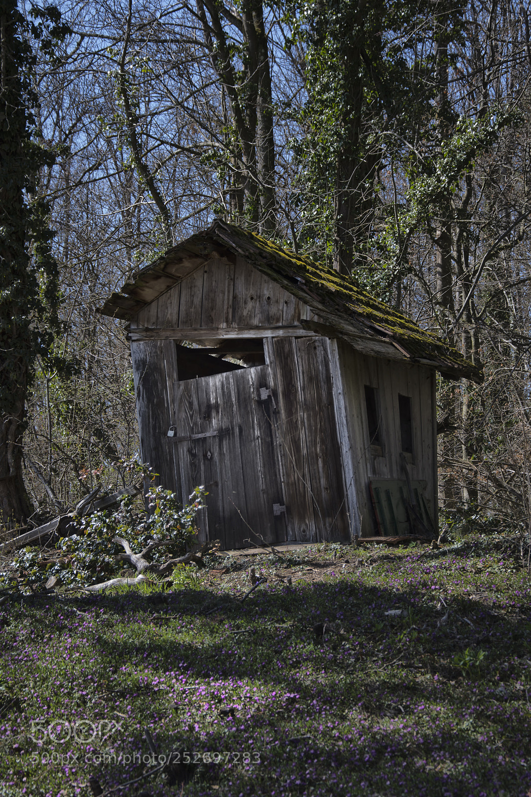 Nikon D7100 sample photo. Waldhütte photography