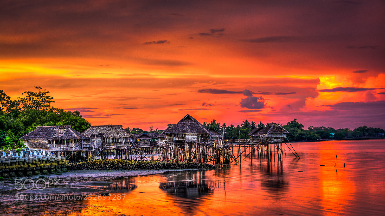 Nikon D7100 sample photo. Bamboo sunset photography