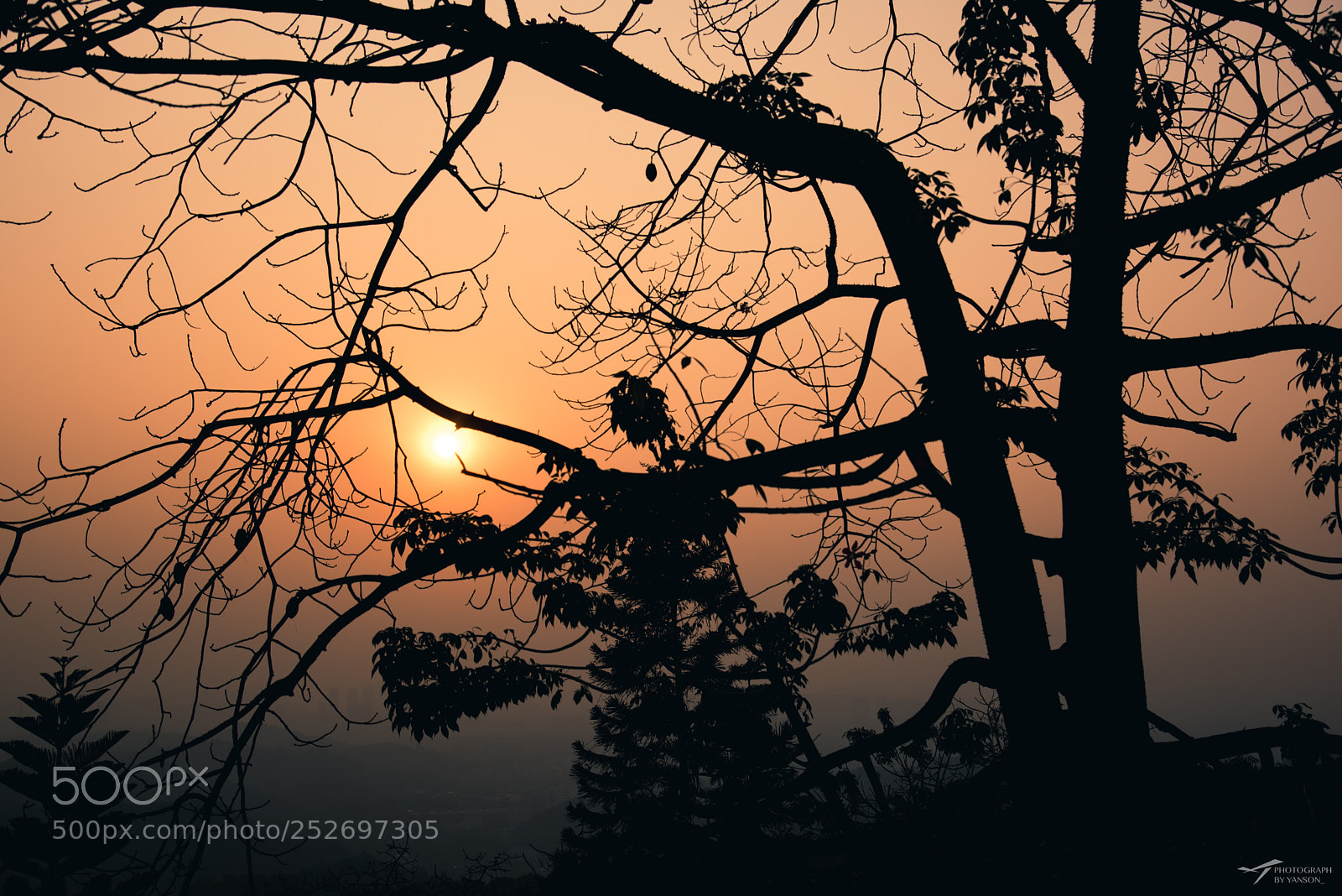 Nikon D810 sample photo. Untitled photography