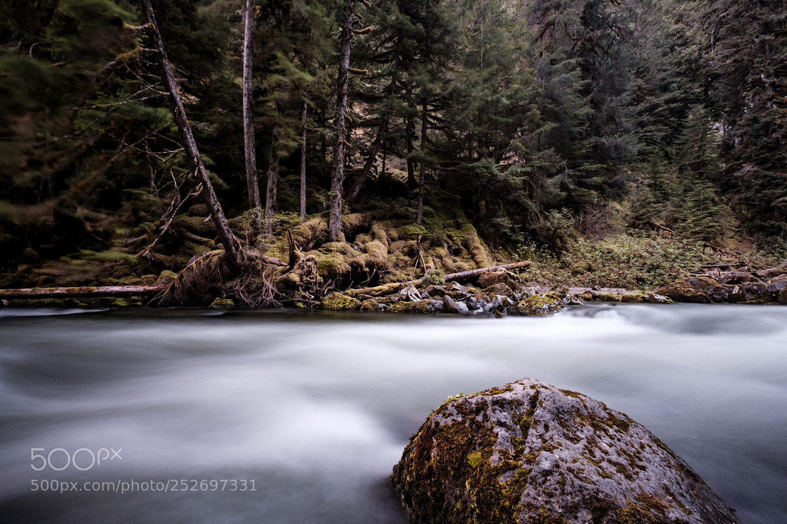 Fujifilm X-Pro2 sample photo. Rapids through the woods photography