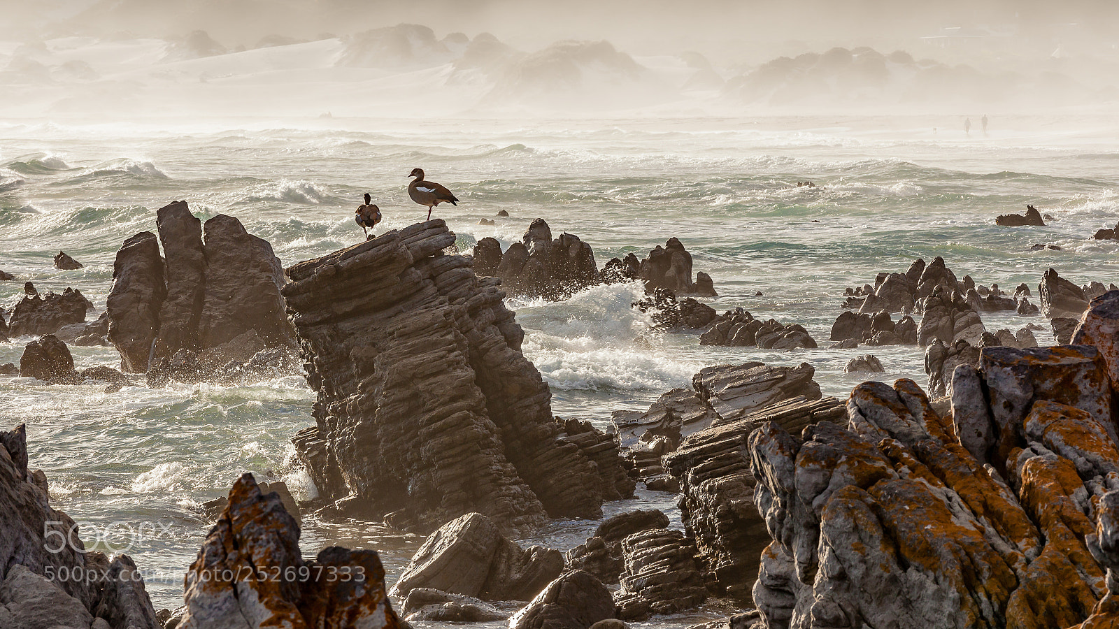 Canon EOS 5D Mark II sample photo. Küste betty's bay / 20120226182336 photography
